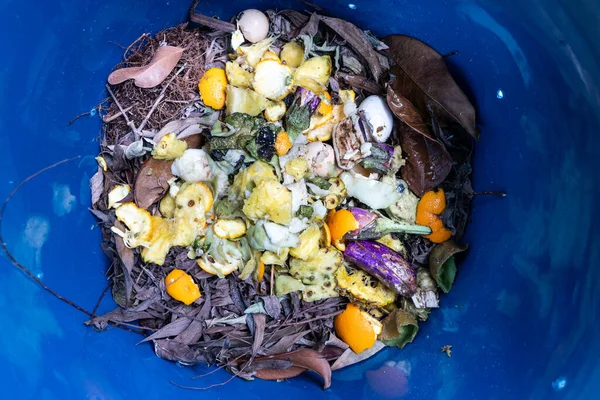 Mezcla de los materiales verdes y marrones en el contenedor de compost — Foto de Stock