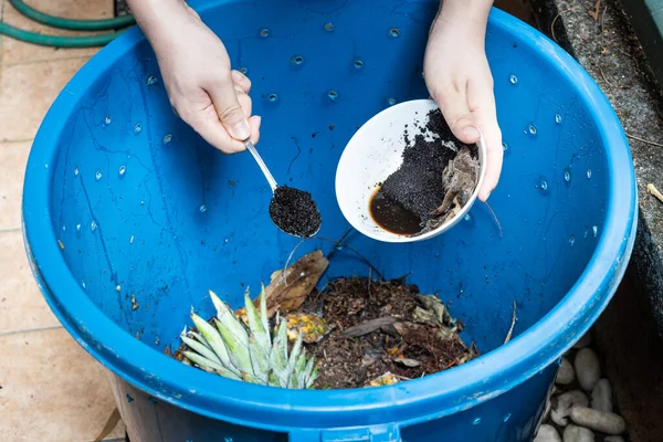 Ruční přidávání kávových sedlin do kompostu jako součást zeleného kompostního materiálu — Stock fotografie