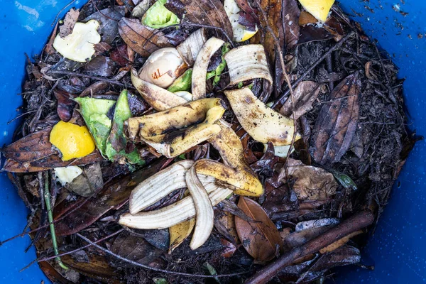 Kulit pisang ditambahkan sebagai bagian dari bahan hijau organik dalam kompos bin. Sumber pupuk alami yang baik — Stok Foto