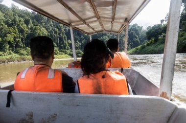 Turist, Taman Negara Ulusal Parkı 'nda yemyeşil yağmur ormanlarıyla Tembeling nehir turu manzarasının keyfini çıkarıyor.