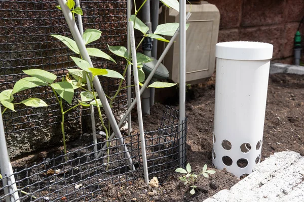 Torre de gusano con agujeros perforados colocados en el jardín contra las plantas —  Fotos de Stock