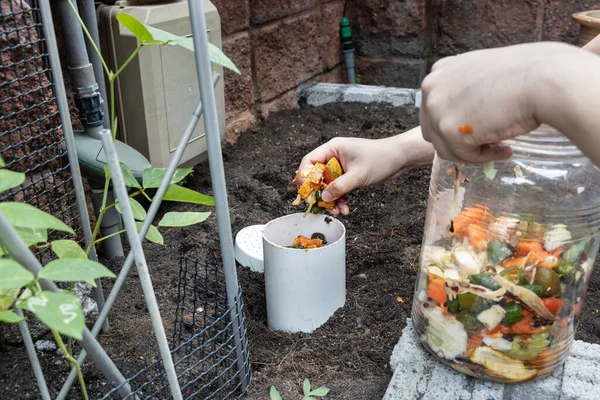 Persona llenando la torre de gusanos con residuos orgánicos de cocina. La actividad del gusano convierte el material en compost para enriquecer el suelo —  Fotos de Stock