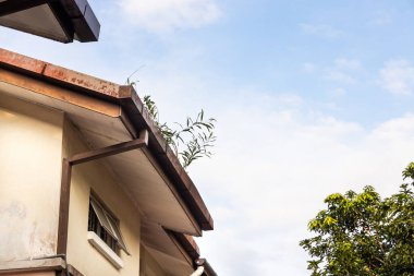 Kuru yaprak ve bitkilerle dolu tıkanmış çatı yağmuru oluğu mavi gökyüzü ile büyüyor.