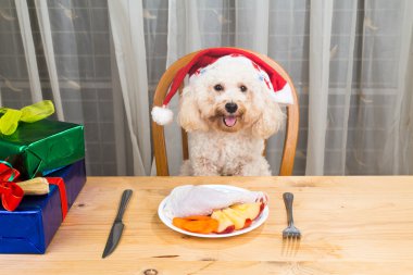 Lezzetli çiğ et Christmas yemek Santa şapka üzerinde heyecanlı köpek kavramı