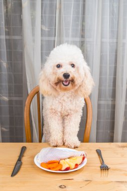 Köpek lezzetli çiğ et yemek masada sahip heyecan verici kavramı.