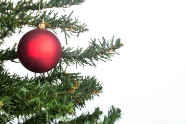 Noel arka plan köknar ağacı kırmızı ile beyaz ve süsleme.