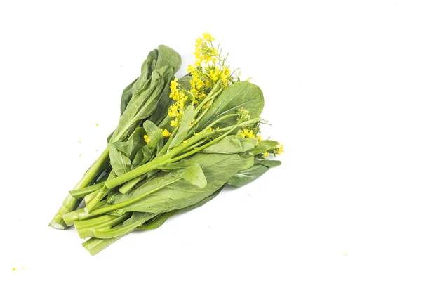 Bos van bloemen choy som groene plantaardige populair onder de Chinezen — Stockfoto