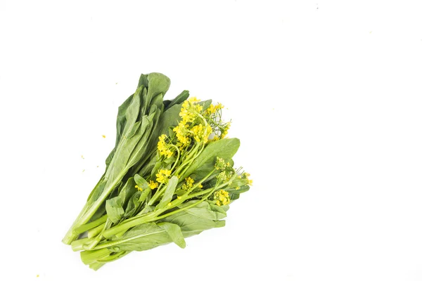 Bund blumiges Choy Sum grünes Gemüse beliebt bei den Chinesen — Stockfoto