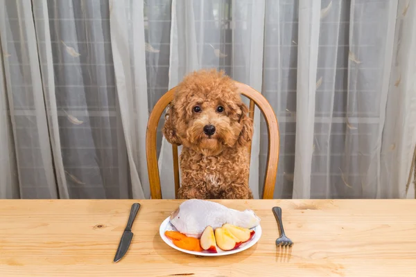 Concept van hond met heerlijke rauw vlees maaltijd op tafel. — Stockfoto