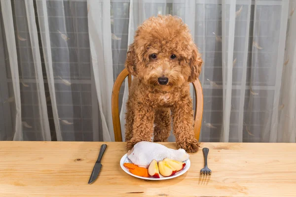 Concept van opgewonden hond met heerlijke rauw vlees maaltijd op tafel. — Stockfoto