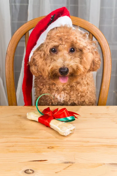 Conceito de cão animado no chapéu de Papai Noel com presente de Natal na mesa — Fotografia de Stock