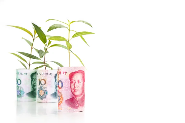 Konzept der grünen Pflanze wachsen auf China-Yuan-Renminbi-Banknote — Stockfoto