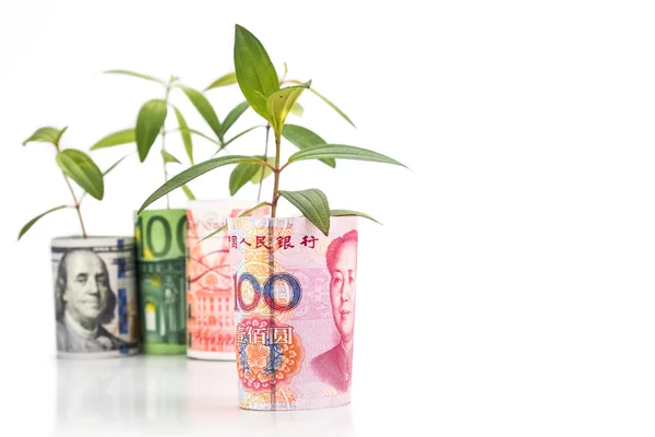 Konzept der grünen Pflanze wachsen auf Währung mit China Yuan Renminbi — Stockfoto