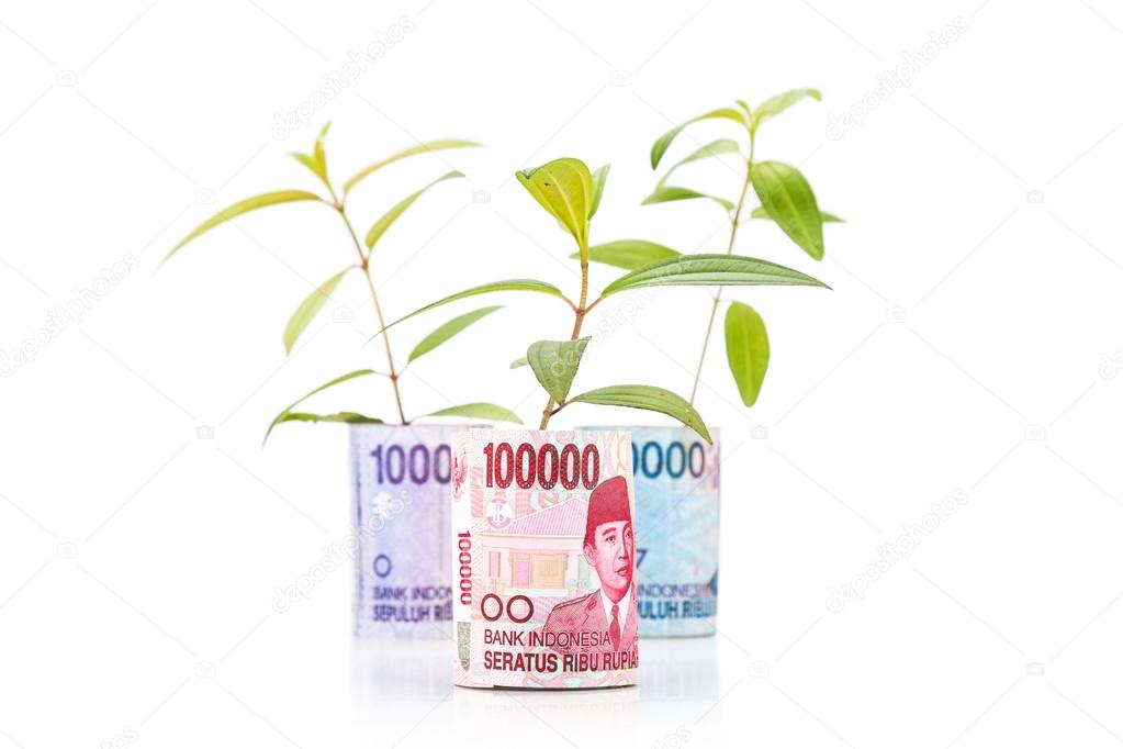 Concept of green plant grow on Indonesia Rupiah currency note