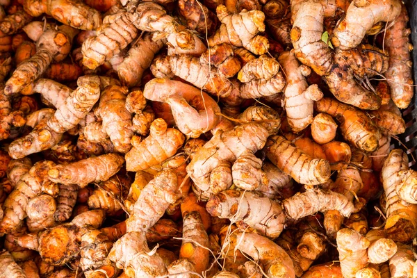 Montes de raízes tuméricas nutritivas colhidas de fresco — Fotografia de Stock