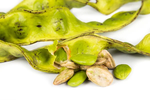 Petai-Samen mit seinen Samenschoten und Trauben — Stockfoto