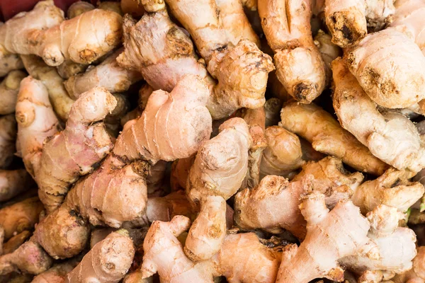 Heaps of fresly harvested nutritious old and aged ginger roots — Stock Photo, Image