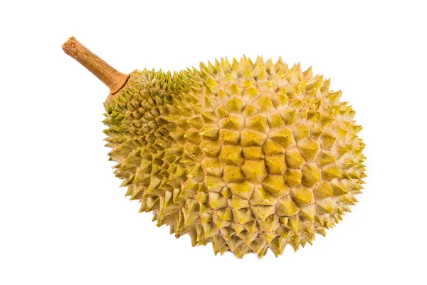 Fruta duriana recém-colhida da espécie Musang King na Malásia — Fotografia de Stock