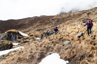 Bir grup insan kar ve kurutulmuş ot yolda ile artan bir tepeye Annapurna Base Camp, Nepal için doğa yürüyüşü