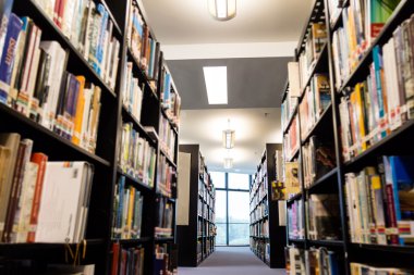 Kütüphane kitap raf koridorları yeşillik ile uzak bitiş parlak pencere odaklı