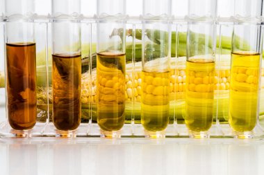 Mısır etanol biyoyakıt test tüpleri üzerinde beyaz backgrou ile oluşturulan