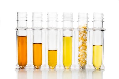 Mısır etanol biyoyakıt test tüpleri üzerinde beyaz backgrou ile oluşturulan