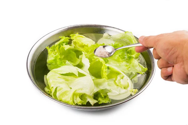 Soak vegetable in water with salt to remove pesticides residues — Stock Photo, Image