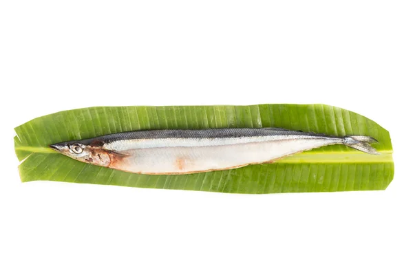 Peixe Sanma japonês fresco, disponível apenas durante determinada época anual — Fotografia de Stock