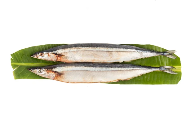 Färsk japanska Sanma fisk, tillgänglig endast under vissa säsongen varje år — Stockfoto