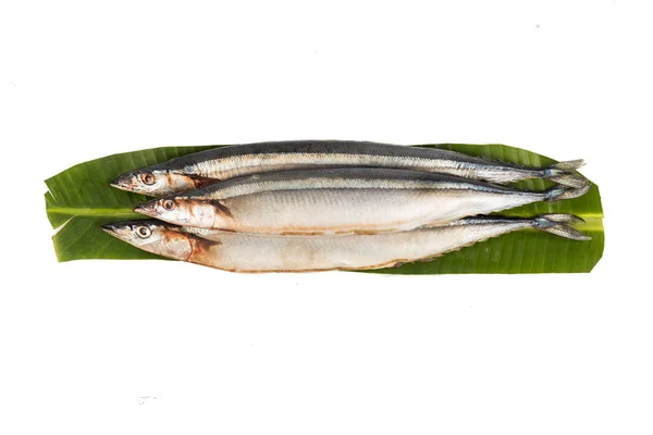 Свежая японская санма-рыба, доступная только в течение определенного сезона в год — стоковое фото