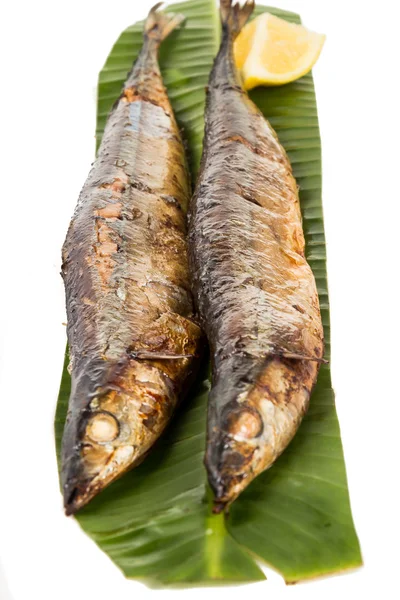 Grillad Sanma fisk, en populär delikatess bland japanska — Stockfoto