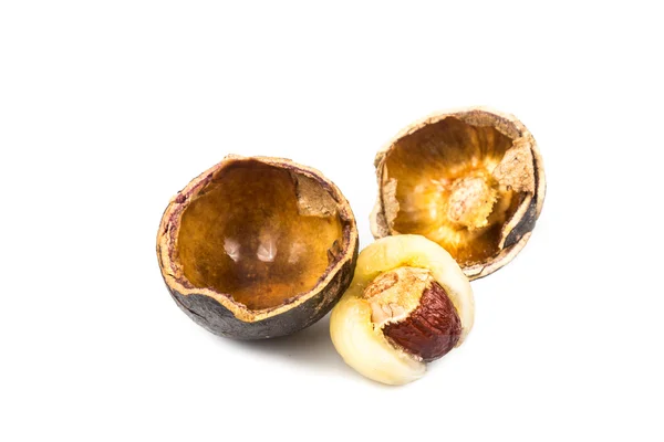Бразильський longan фруктів з акцентом на його товстий плоть — стокове фото