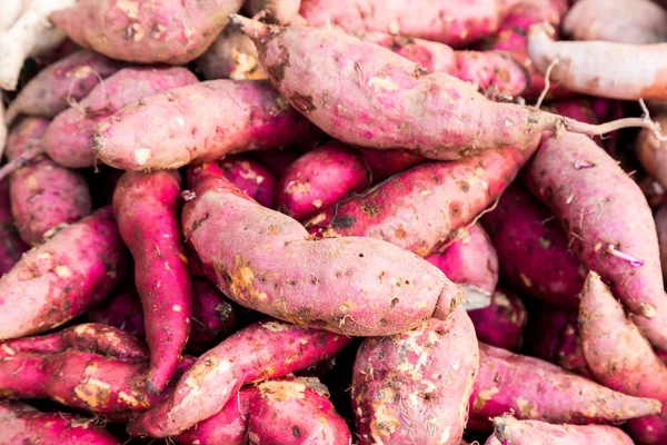 Montón de raíces de batatas de piel morada recién cosechadas — Foto de Stock