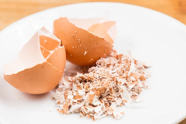 Hancur segar kerang telur organik di piring — Stok Foto