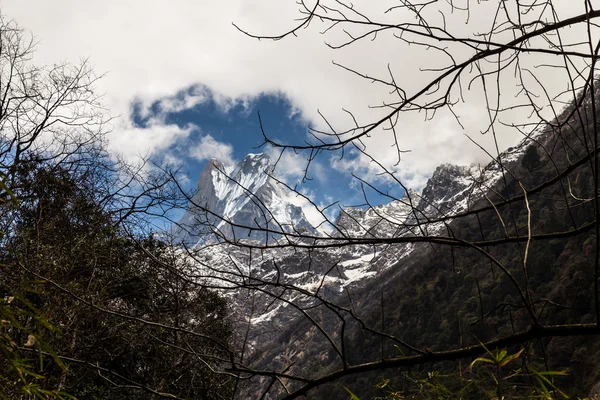 Picco del Monte Machapuchare o popolarmente conosciuto come Fish Tail visto dal villaggio di bambù, Nepal — Foto Stock