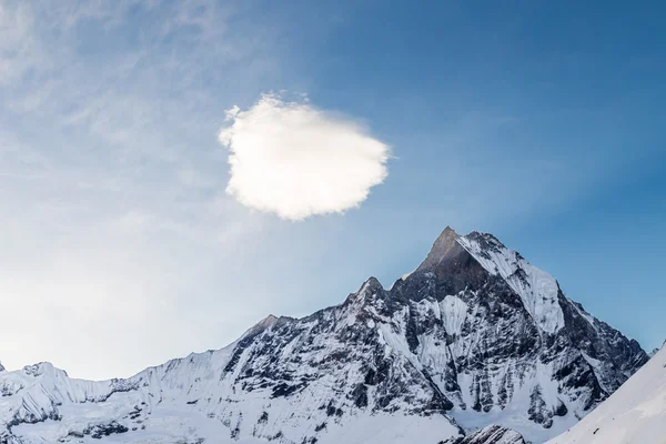 Pico del Monte Machapuchare o popularmente conocido como cola de pescado con un pedazo de nube sobre él como se ve desde el campamento base de Annapurna — Foto de Stock