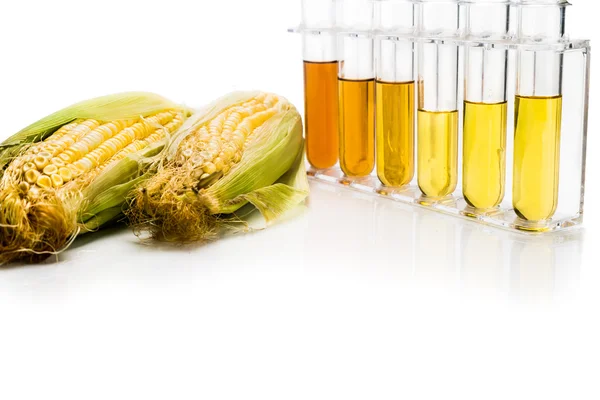 Corn genereras etanol biobränsle med provrör på vit ba — Stockfoto