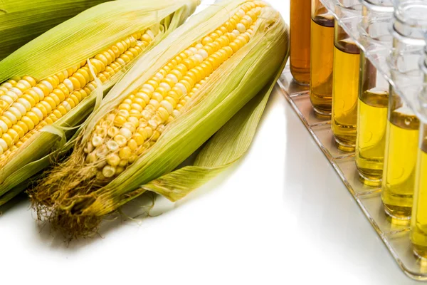 Corn genereras etanol biobränsle med provrör på vit ba — Stockfoto