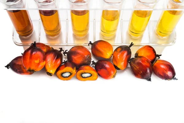 Olio di palma biodiesel biocarburante con provette su fondo bianco . — Foto Stock