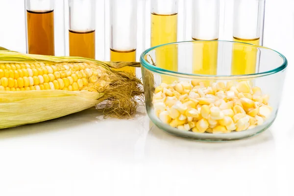 Corn generated ethanol biofuel with test tubes on white backgrou — Stock Photo, Image