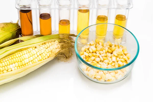 Biocarburant à base d'éthanol produit par le maïs avec éprouvettes sur fond blanc — Photo