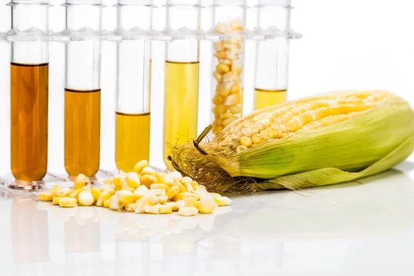 Corn genereras etanol biobränsle med provrör på vit bakgrund — Stockfoto
