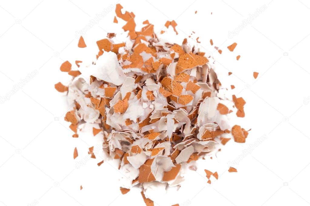 Resultado de imagem para ovo triturado