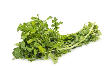 Bohça-in taze hasat su teresi vitamini ve nitrat zengin