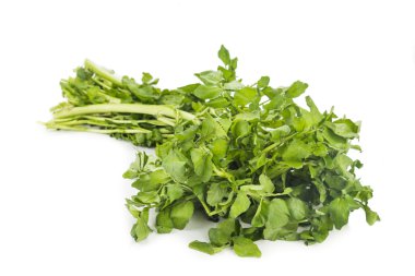 Bohça-in taze hasat su teresi vitamini ve nitrat zengin