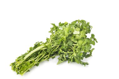 Bohça-in taze hasat su teresi vitamini ve nitrat zengin