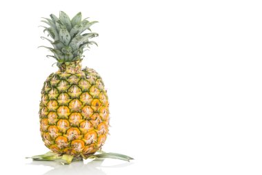 Taze ananas bütün sulu ve besleyici meyve beyaz b karşı