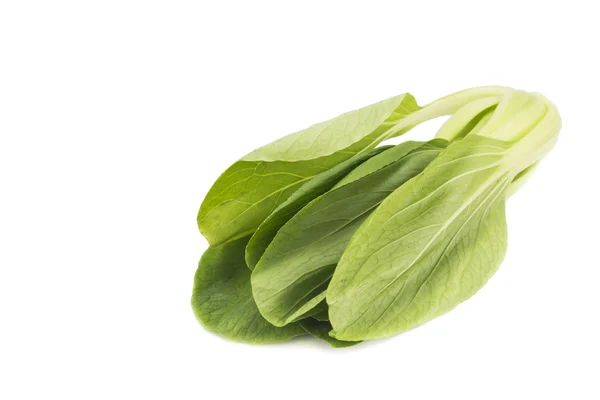 Verse groene lommerrijke bok choy plantaardige geïsoleerd in wit. — Stockfoto