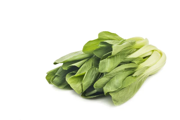 Fresco verde folhosos bok choy vegetal isolado em branco . — Fotografia de Stock