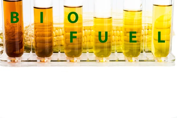 Кукурудзяний генерований етанол в тестових трубках з словом BIOFUEL — стокове фото